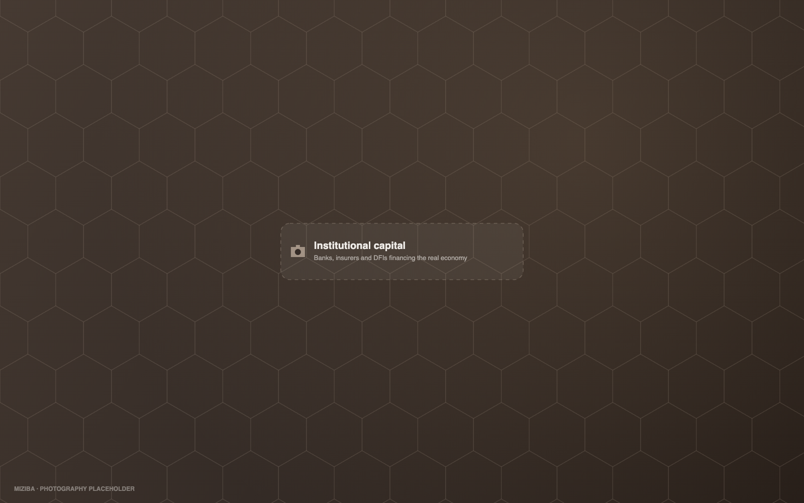 Institutional capital — banks, insurers and DFIs financing the real economy